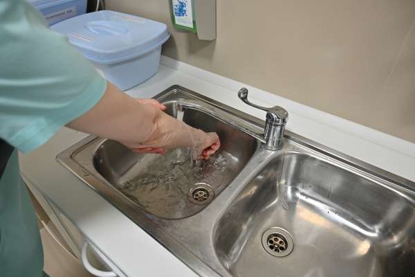 Thoroughly rinse the sink. Clean the Kitchen Sink