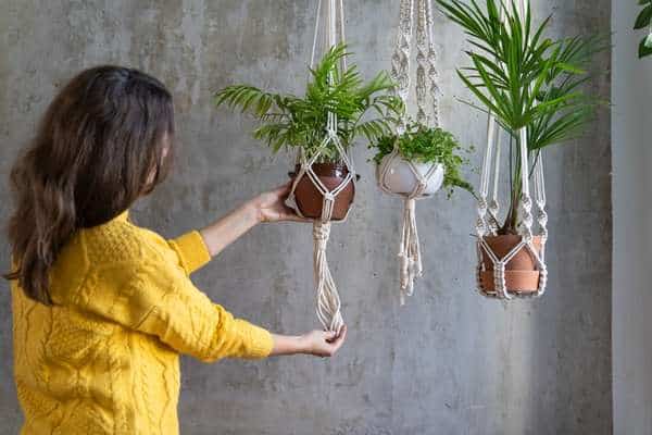 Hang plant shelves to adorn your plants.