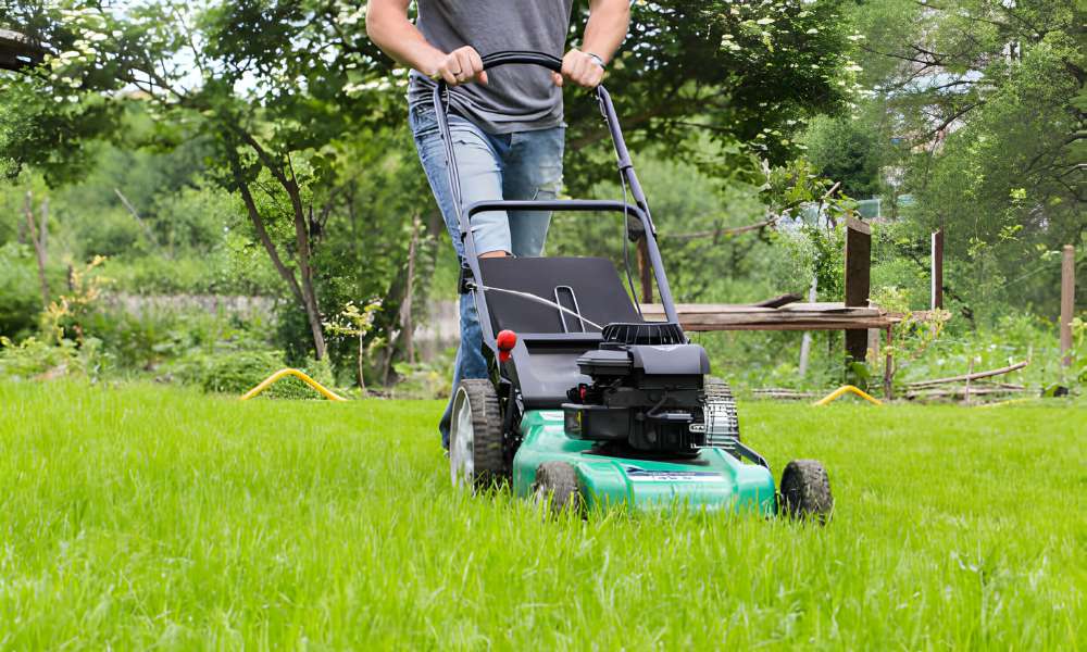 How To Make Lines In Grass With Mower